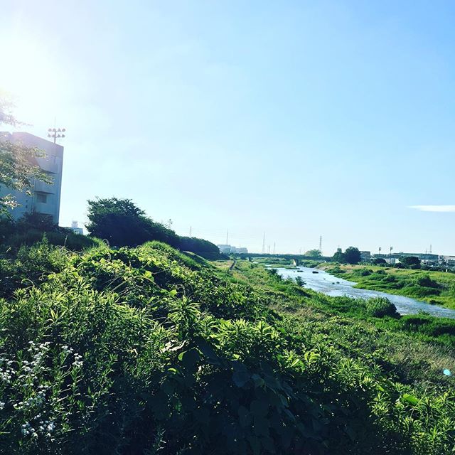 家の後ろをトボトボと子供と散歩して、今日なにしようかなとか考える。けど、子供うるさいので（顔引っ掻いてきて痛いし）何も思いつかないのが相場。で、このまま二人でお風呂入ります。