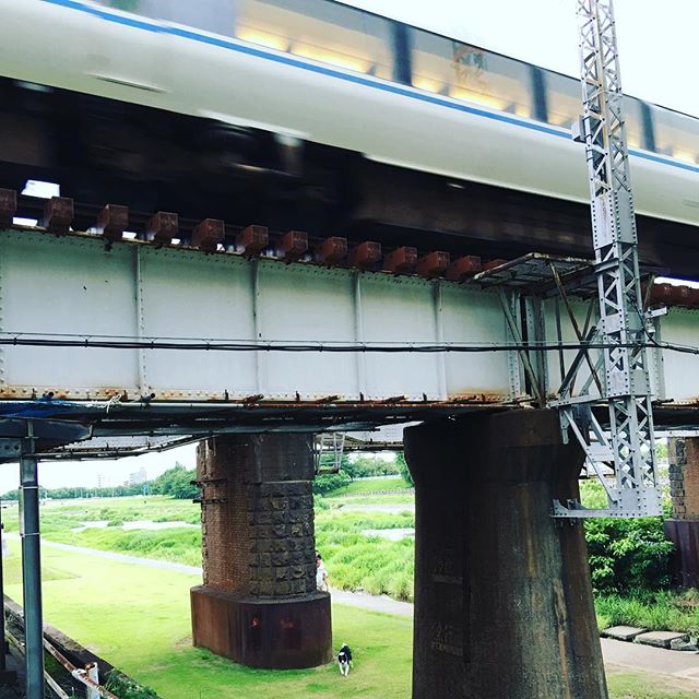で、帰宅。電車音に興奮しとる犬と、大泣きしとる赤ちゃん。はー、平和やわ。平和ボケで結構、結構。